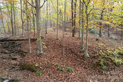 5 Acres Blue Ridge Trail, Columbus, NC 28722 - Photo 16