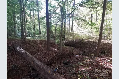 5 Acres Blue Ridge Trail, Columbus, NC 28722 - Photo 10