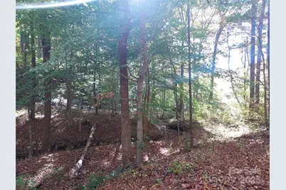 5 Acres Blue Ridge Trail, Columbus, NC 28722 - Photo 2