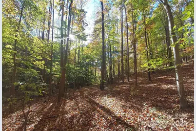 5 Acres Blue Ridge Trail, Columbus, NC 28722 - Photo 6