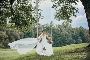 732 Crowe Dairy Rd, Forest City, NC 28043 - Photo 36