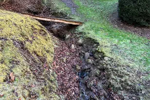 12982 US Hwy 19W None, Burnsville, NC 28714 - Photo 44