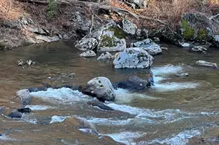 12982 US Hwy 19W None, Burnsville, NC 28714 - Photo 6