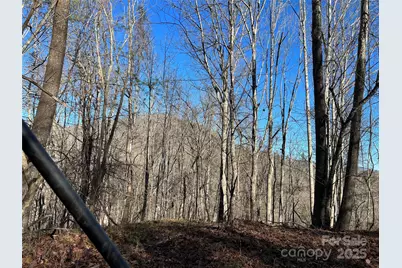 12982 US Hwy 19W None, Burnsville, NC 28714 - Photo 38