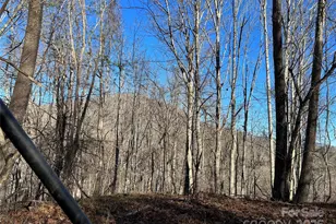 12982 US Hwy 19W None, Burnsville, NC 28714 - Photo 38