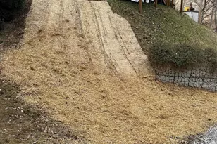 12982 US Hwy 19W None, Burnsville, NC 28714 - Photo 34