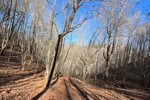 12982 US Hwy 19W None, Burnsville, NC 28714 - Photo 48