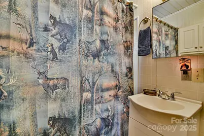 415 Weaverville Road #59 1/2 PT 59 & PT 60, Asheville, NC 28804 - Photo 40