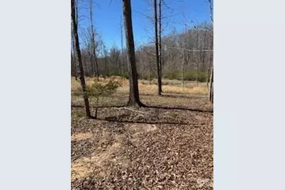 1639 +1643 Mallard Bay Drive #17 & 18, York, SC 29745 - Photo 2