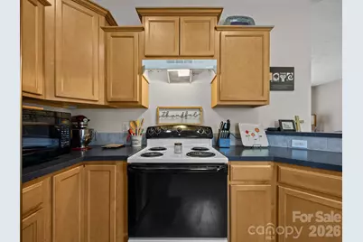 233 Thompson Cove None, Clyde, NC 28721 - Photo 12