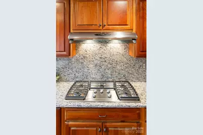 173 Winding Meadows Drive, Flat Rock, NC 28731 - Photo 20