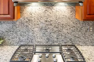 173 Winding Meadows Dr, Flat Rock, NC 28731 - Photo 20