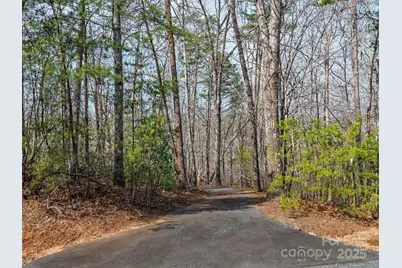 Lot 27 South Cove Road, Mill Spring, NC 28756 - Photo 10