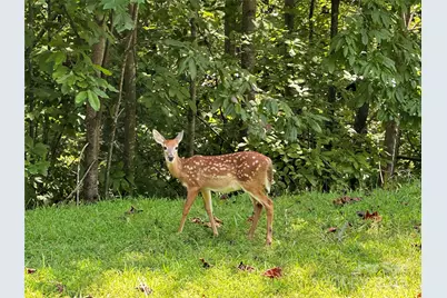 Lot 27 South Cove Road, Mill Spring, NC 28756 - Photo 18
