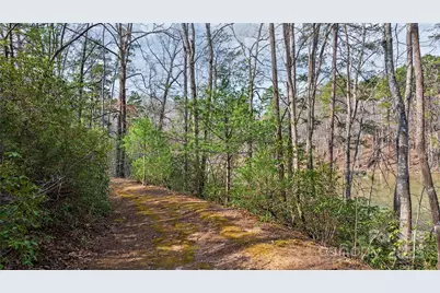 Lot 27 South Cove Road, Mill Spring, NC 28756 - Photo 6