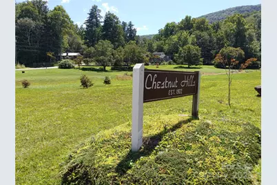 0000 Thomasville Lane, Gerton, NC 28735 - Photo 8