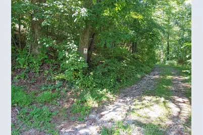 0000 Thomasville Lane, Gerton, NC 28735 - Photo 2