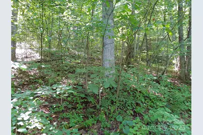 0000 Thomasville Lane, Gerton, NC 28735 - Photo 4