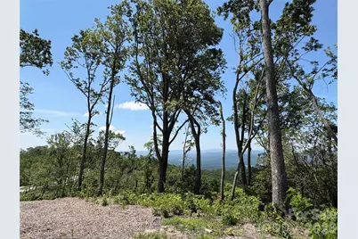 Lot 50 Mountain Grove Lane #50, Fletcher, NC 28732 - Photo 4