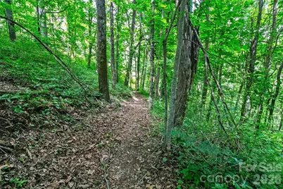 Lot 50 Mountain Grove Lane #50, Fletcher, NC 28732 - Photo 32