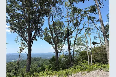 Lot 50 Mountain Grove Lane #50, Fletcher, NC 28732 - Photo 2