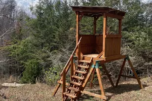 999 Chestnut Mountain Dr, Green Mountain, NC 28740 - Photo 8