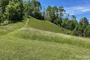 999 Chestnut Mountain Dr, Green Mountain, NC 28740 - Photo 4