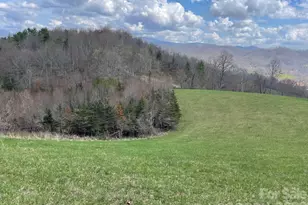 999 Chestnut Mountain Dr, Green Mountain, NC 28740 - Photo 22