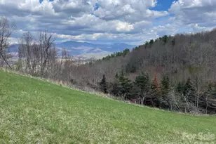 999 Chestnut Mountain Dr, Green Mountain, NC 28740 - Photo 24