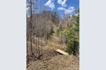 999 Chestnut Mountain Drive, Green Mountain, NC 28740 - Photo 12