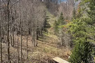 999 Chestnut Mountain Dr, Green Mountain, NC 28740 - Photo 12