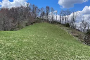 999 Chestnut Mountain Dr, Green Mountain, NC 28740 - Photo 18