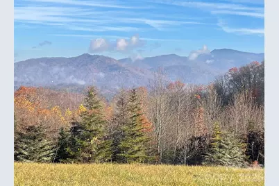 999 Chestnut Mountain Drive, Green Mountain, NC 28740 - Photo 1