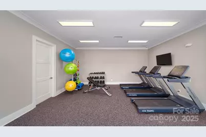 113 Asmodean Lane, Troutman, NC 28166 - Photo 36