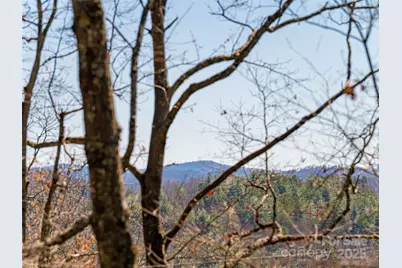 75 Deep Woods Road, Mills River, NC 28759 - Photo 36