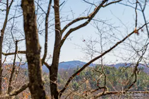 75 Deep Woods Rd, Mills River, NC 28759 - Photo 36