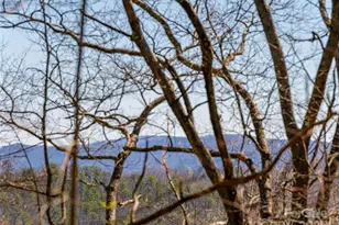 75 Deep Woods Rd, Mills River, NC 28759 - Photo 34