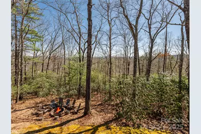 75 Deep Woods Road, Mills River, NC 28759 - Photo 2