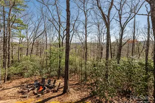 75 Deep Woods Rd, Mills River, NC 28759 - Photo 2