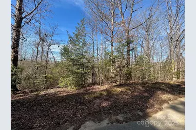 Tbd Green Pond Road, Indian Land, SC 29707 - Photo 18