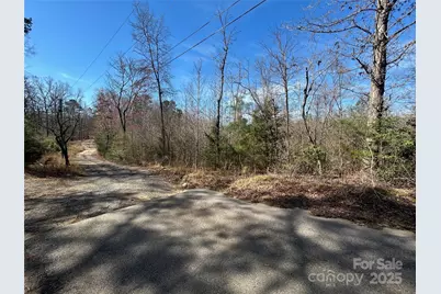 Tbd Green Pond Road, Indian Land, SC 29707 - Photo 16