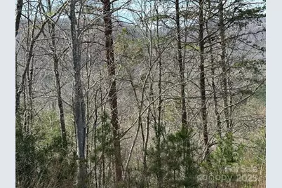 0 Pinegrove Drive, Bostic, NC 28018 - Photo 12