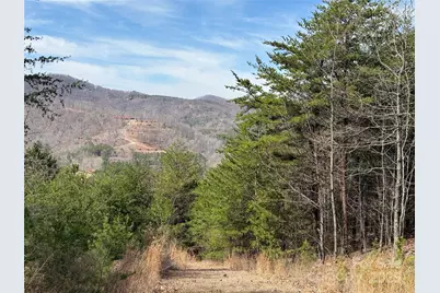 0 Pinegrove Drive, Bostic, NC 28018 - Photo 8