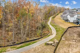 4223 Black Ct, Harrisburg, NC 28075 - Photo 48