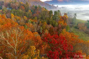 999 Coyote Hollow Rd, Waynesville, NC 28785 - Photo 1