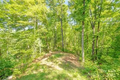 145 Mountain Forest Drive, Union Mills, NC 28167 - Photo 30