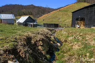 867 Indian Creek Rd, Burnsville, NC 28714 - Photo 38