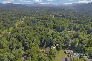 904 Mills Gap Rd, Fletcher, NC 28732 - Photo 32