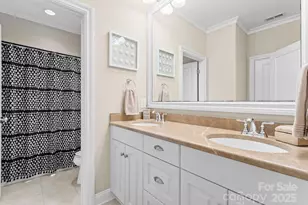 21311 Baltic Dr, Cornelius, NC 28031 - Photo 28