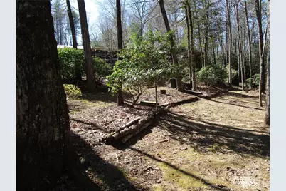 116 Minerva Lane, Sapphire, NC 28774 - Photo 38